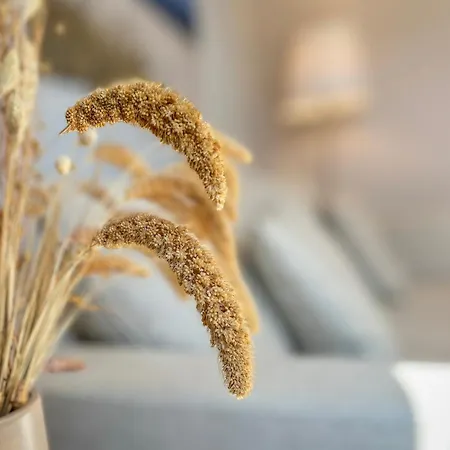 Baltischer Hof 46 Appartement Boltenhagen (Ostseebad)