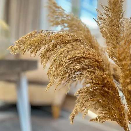 Baltischer Hof 46 Appartement Boltenhagen (Ostseebad)