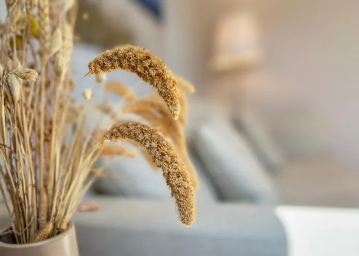 Baltischer Hof 46 Apartman Boltenhagen