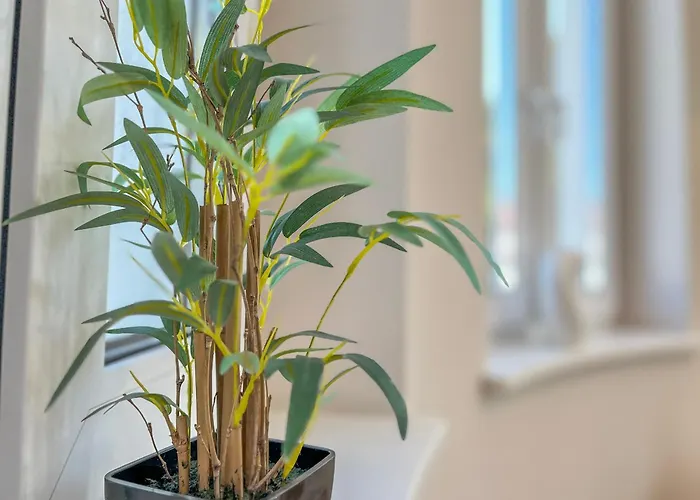 Baltischer Hof 46 * Boltenhagen